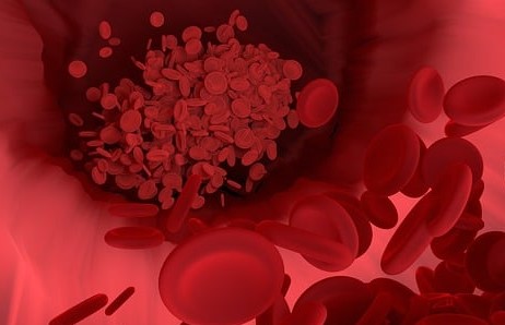 Fact About Human Blood-You need to know Easily